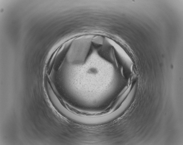 X0000081561520200702051136