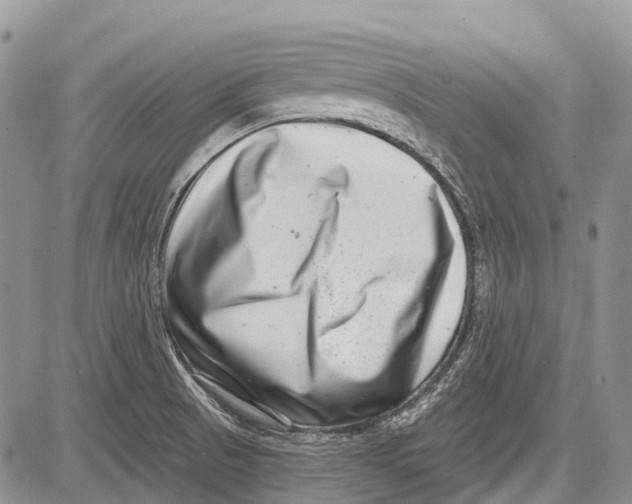 X0000081561521200702051136