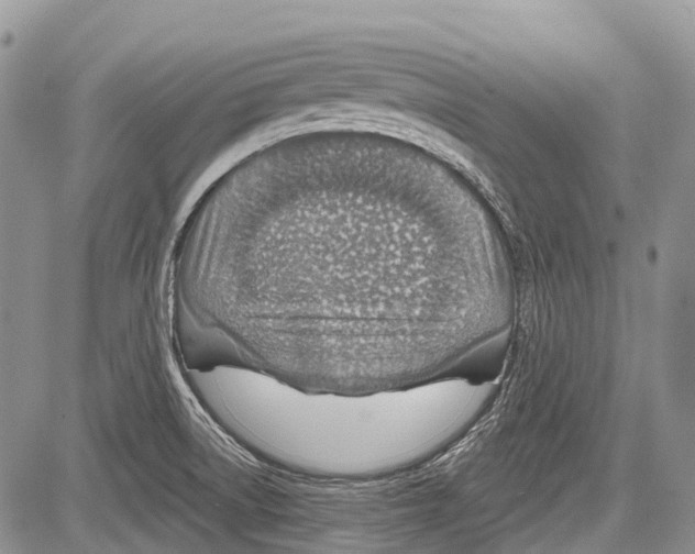 X0000081561522200702051136