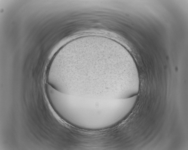 X0000081561523200702051136