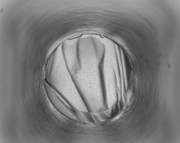 X0000081561524200702051136