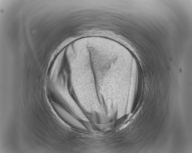 X0000081561525200702051136