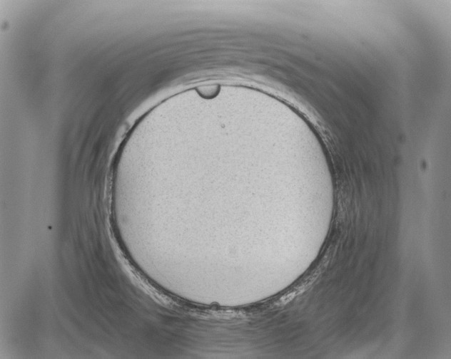 X0000081561526200702051136