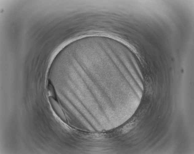 X0000081561527200702051136