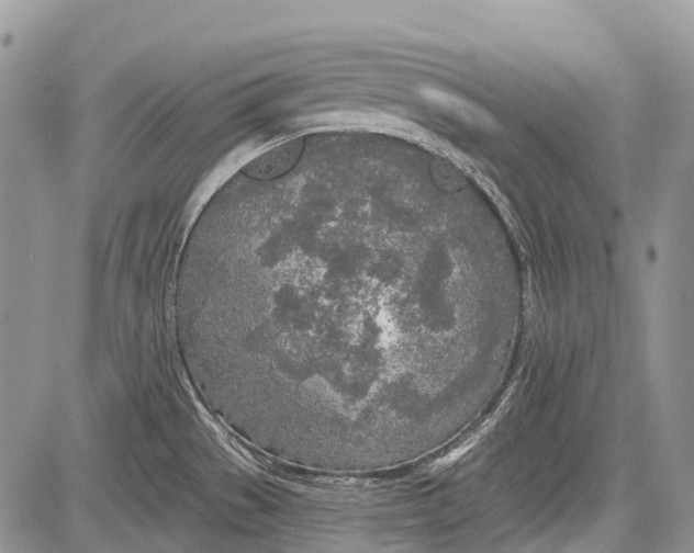 X0000081561529200702051136