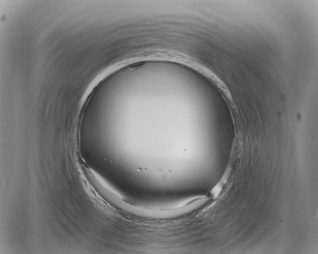 X0000081561530200702051136