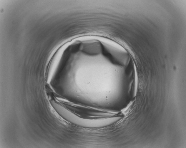 X0000081561532200702051136