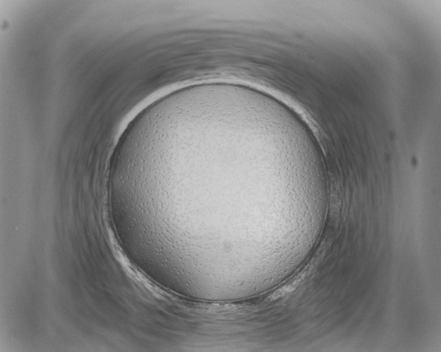 X0000081561534200702051136