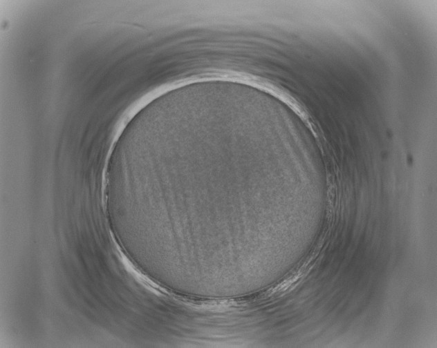 X0000081561535200702051136