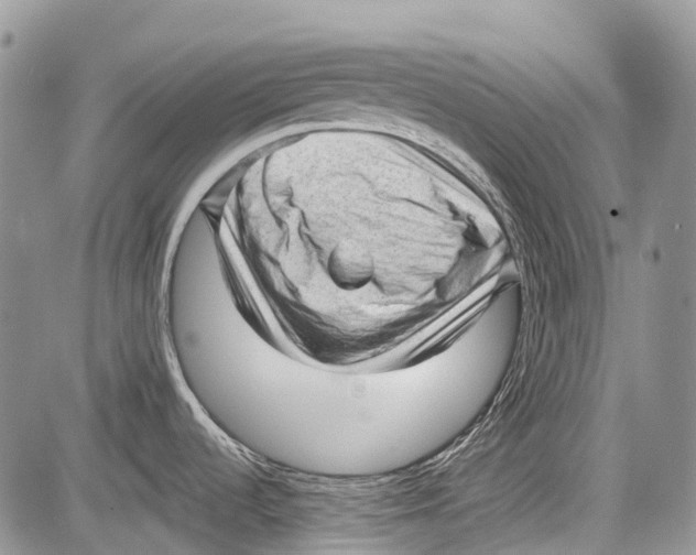 X0000081561536200702051136