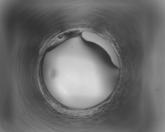 X0000081560001200702121408