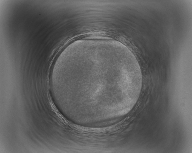 X0000081560002200702121408