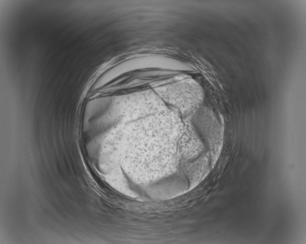 X0000081560003200702121408