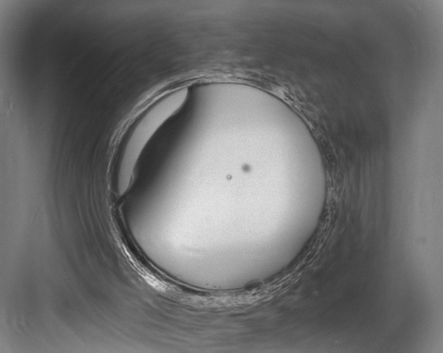 X0000081560005200702121408