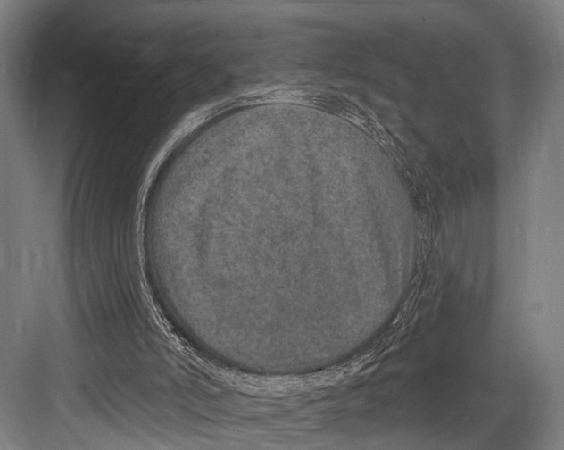 X0000081560006200702121408