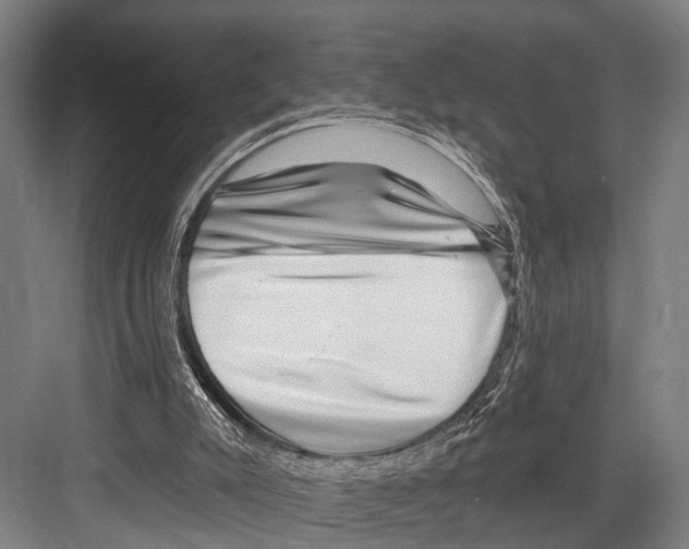 X0000081560007200702121408