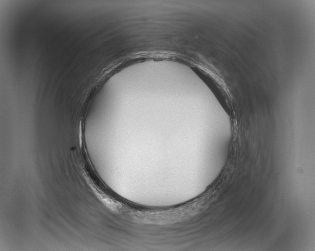 X0000081560013200702121408