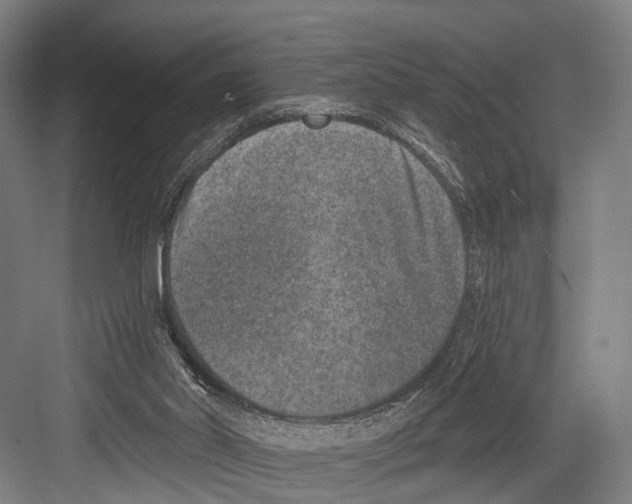 X0000081560014200702121408