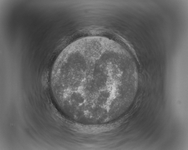 X0000081560018200702121407