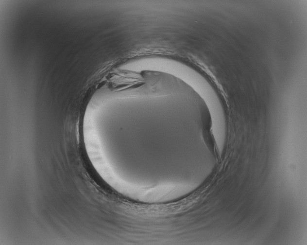 X0000081560019200702121407