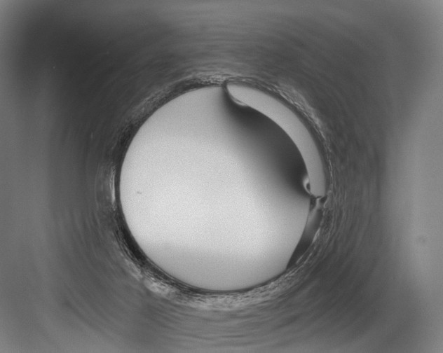 X0000081560021200702121407