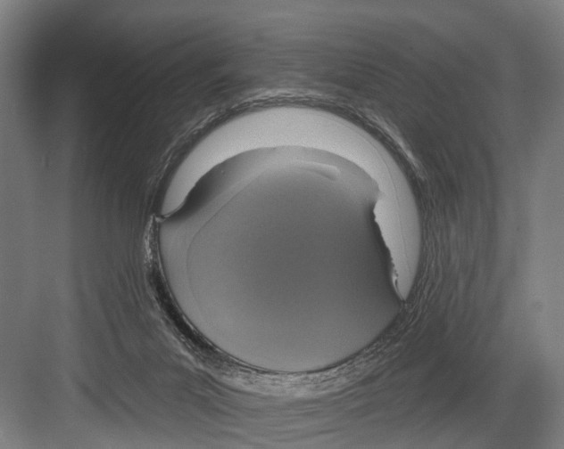 X0000081560023200702121407