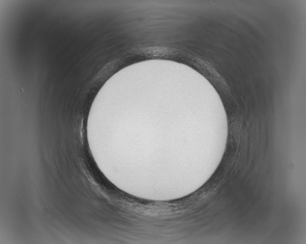 X0000081560024200702121407