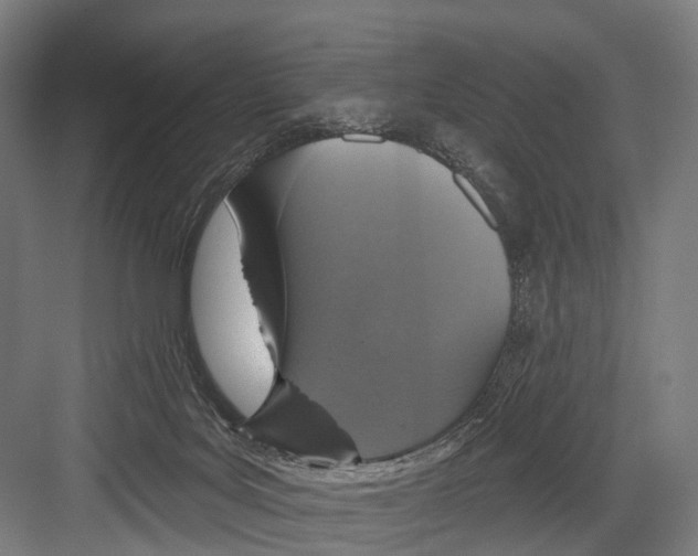 X0000081560027200702121407