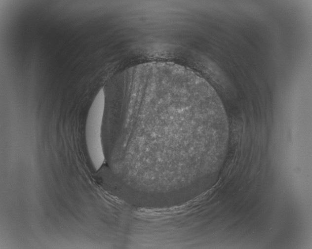 X0000081560029200702121407