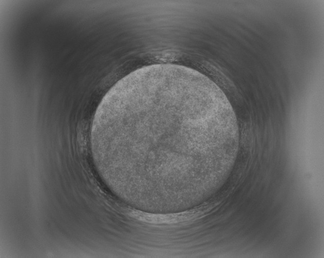 X0000081560030200702121407