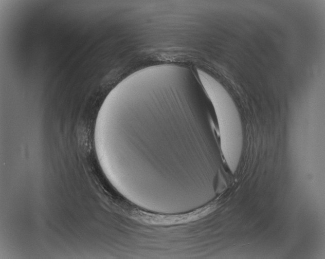 X0000081560031200702121407