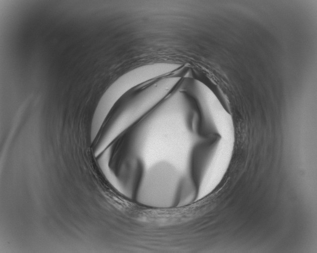 X0000081560033200702121407