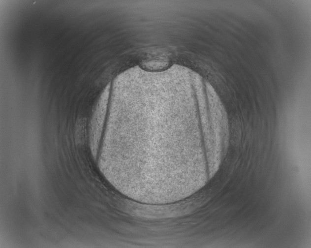 X0000081560034200702121407
