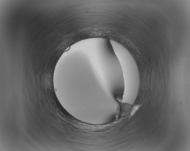 X0000081560035200702121407
