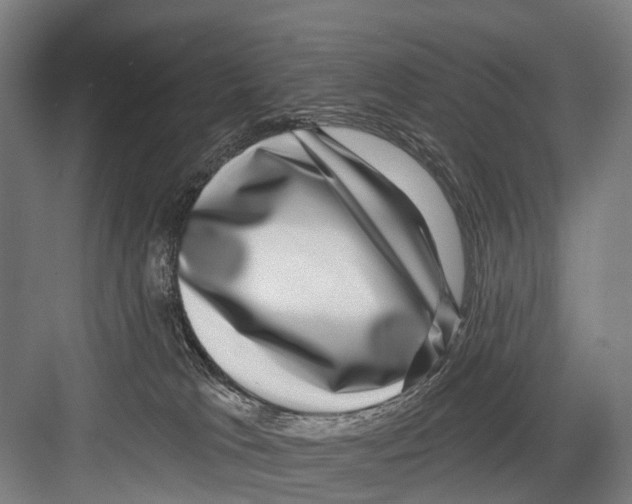 X0000081560037200702121407