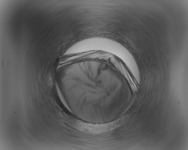 X0000081560039200702121407