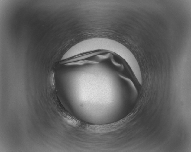 X0000081560041200702121407