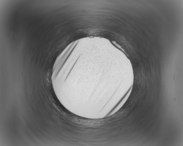 X0000081560044200702121407
