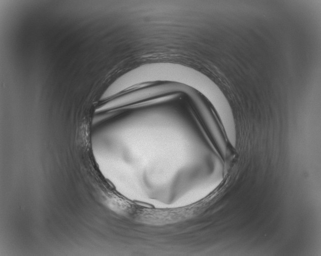 X0000081560045200702121407