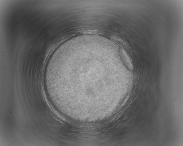 X0000081560049200702121406