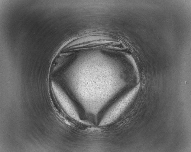 X0000081560052200702121406