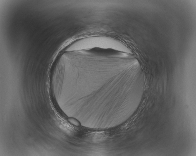 X0000081560054200702121406