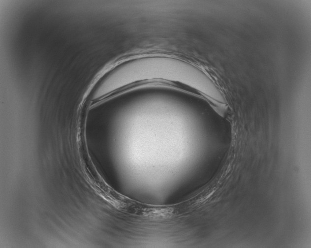 X0000081560056200702121406