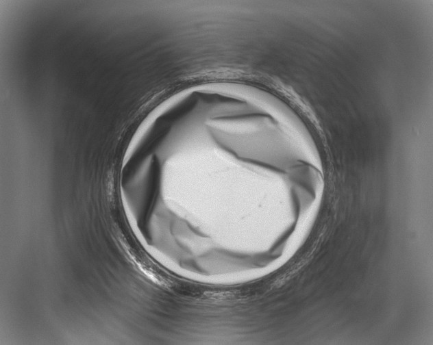 X0000081560057200702121406