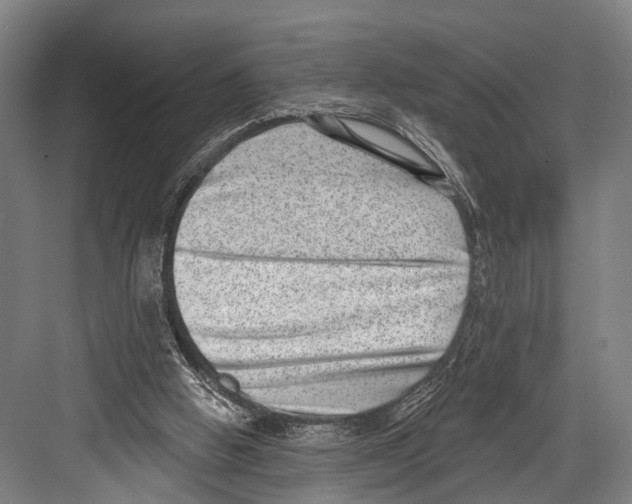 X0000081560058200702121406