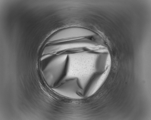 X0000081560060200702121406