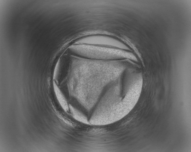 X0000081560063200702121406
