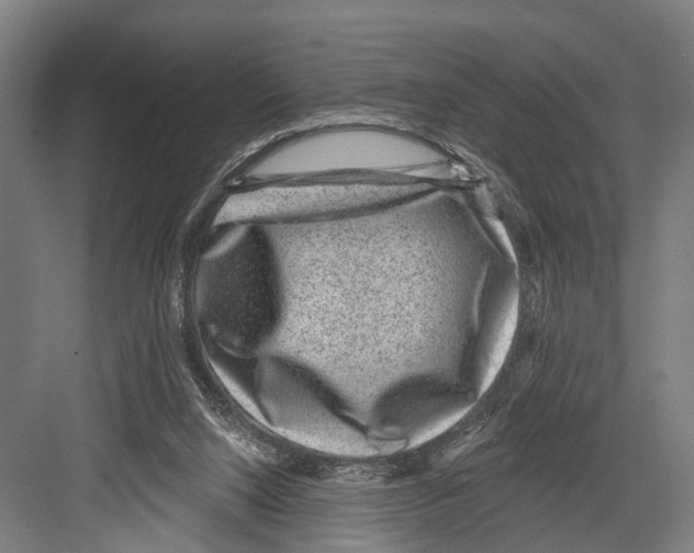 X0000081560064200702121406