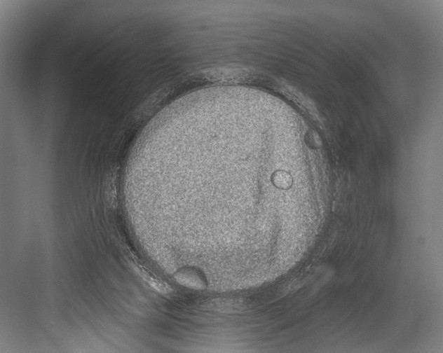 X0000081560065200702121406