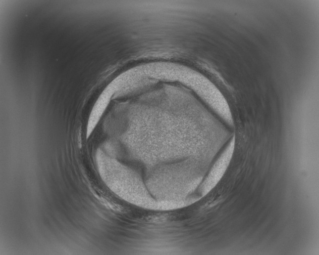 X0000081560068200702121406